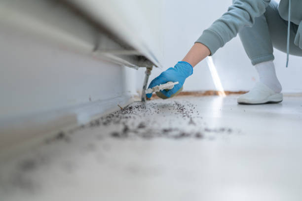 Best Pest Prevention Services  in East Atlantic Beach, NY
